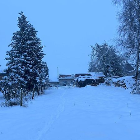 Ferienwohnung Classen Eifel Schleiden Exteriör bild
