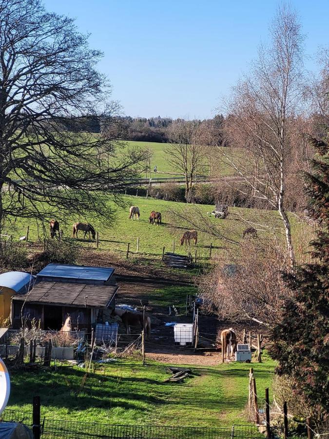 Ferienwohnung Classen Eifel Schleiden Exteriör bild
